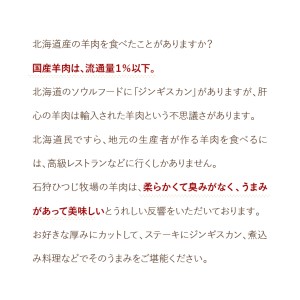 350018 【定期便】【年3回】石狩ひつじ牧場「羊乳リコッタジェラート・羊肉・羊乳チーズ」セット