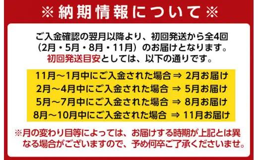 【全4回定期便】 (2月・5月・8月・11月) 訳あり 九州産 たけのこ水煮 200g×8P×4回 【マツバラ】 i536