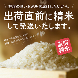 《令和6年産》【3か月定期便】《白米》新米 あきたこまち なまはげ 米袋 米 15kg×3回 一等米 ギフト パッケージ 限定デザイン 紙袋 リメイク 工作 お面 こども お土産 秋田 潟上市 【こま