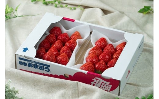 福岡産【冬】あまおうDX(デラックス)2パック【南国フルーツ】_HA1911 あまおう イチゴ いちご 苺 ストロベリー あかい まるい おおきい うまい フルーツ2パック 2P 福岡県宗像市 福岡県 宗像市 福岡 宗像