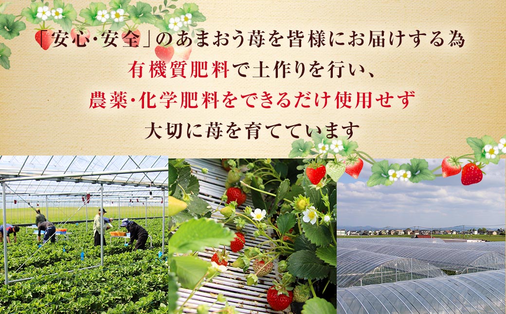 【特別栽培】うるう農園 冷凍あまおう 2kg あまおう イチゴ いちご 苺 フルーツ 果物【2027年1月上旬発送開始】