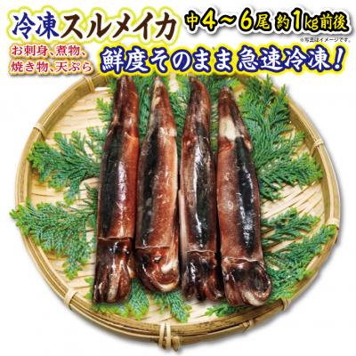 ふるさと納税 普代村 【年内発送】 冷凍スルメイカ 中 4本〜6本 (1kg前後) いか塩辛 いかめし 年内お届け |  | 01