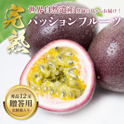 ふるさと納税 奄美市 《奄美大島産パッションフルーツ》贈答用化粧箱入り約1kg(12玉入り)