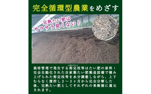 A-138 ＜先行予約受付中！2025年8月中旬～10月上旬の間に発送予定＞梨詰め合わせ(約2.5kg前後)【さくら農園】