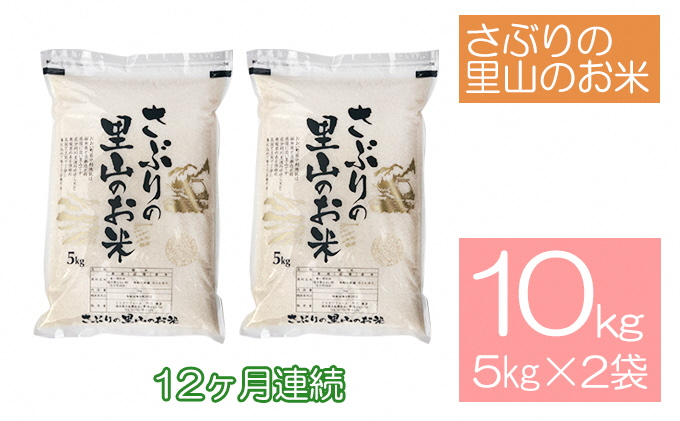 
定期便 【12ヶ月連続】さぶりの里山のお米　コシヒカリ精米　5kg×2袋（10kg）
