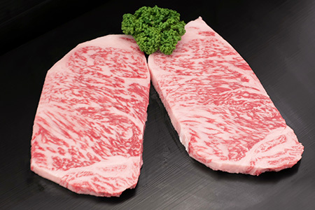 【3回定期便】佐賀牛特選食べ尽くし贅沢セット (H996P101)