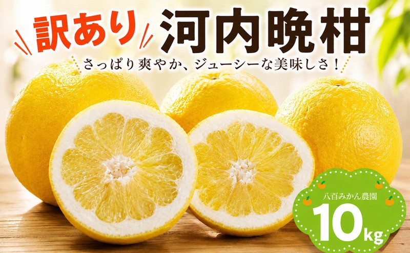 
                  【先行予約：2027年4月上旬～発送 】訳あり 河内晩柑 10kg 八百みかん農園 の かわちばんかん 10000円 家庭用 先行 事前 予約 受付 みかん 愛南ゴールド 美生柑 文旦 グレープフルーツ 和製 防腐剤不使用 愛媛 産地直送 国産 農家直送 糖度 果樹園 期間限定 数量限定 特産品 ジュース 人気 限定 愛南  新鮮 さわやか 甘い フルーツ 果物 柑橘 蜜柑
                