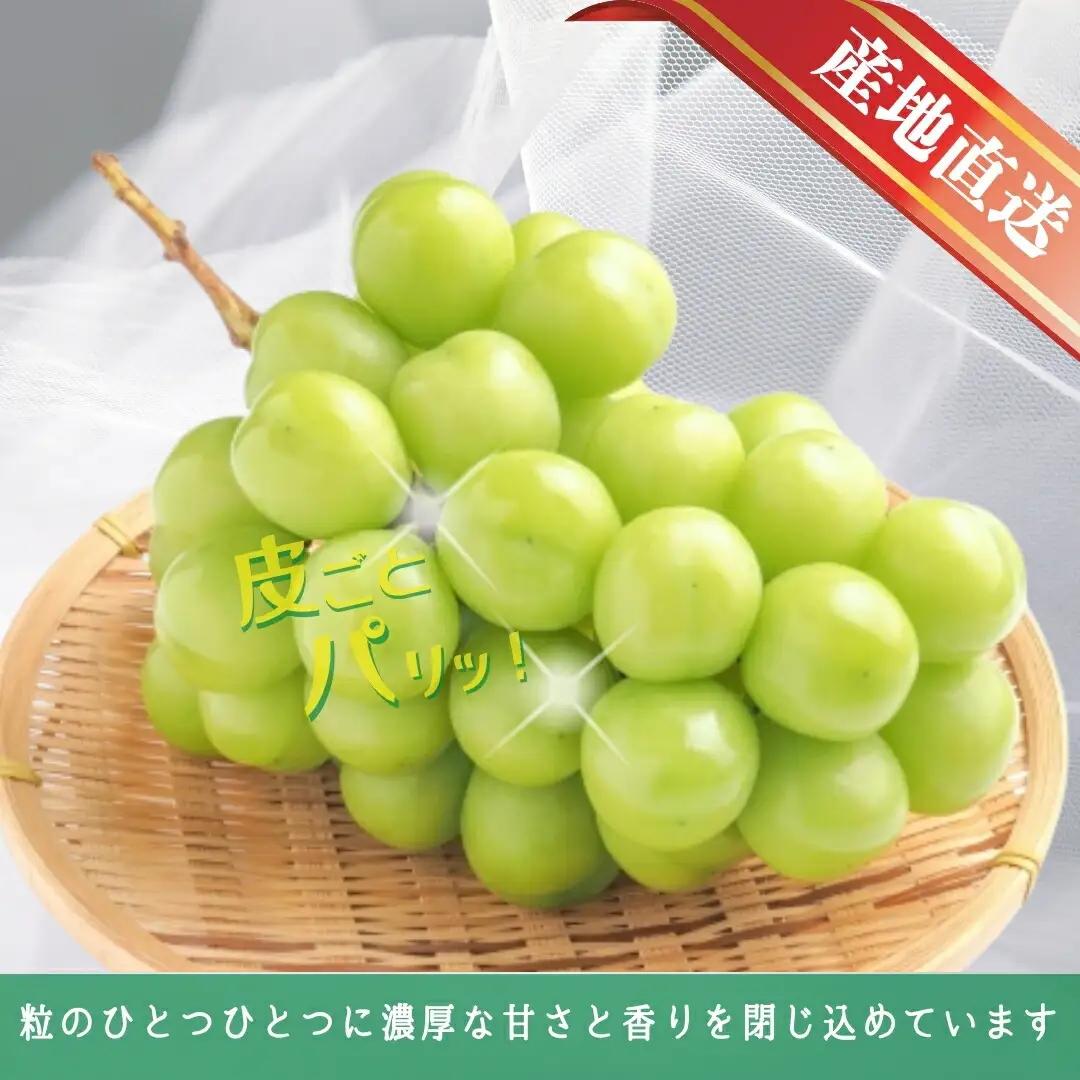 【2026年先行予約】シャインマスカット 約2kg(3~5房)|シャインマスカット