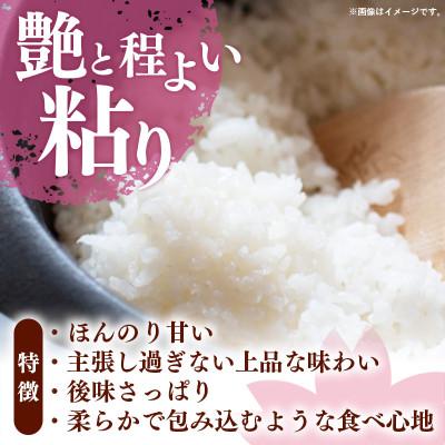 ふるさと納税 筑前町 令和7年産 福岡県産米 夢つくし 20kg 精米(筑前町) |  | 02