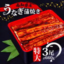 【ふるさと納税】 肉厚 うなぎ の 蒲焼き 220g × 3尾 自家製 タレ セット 冷凍 頭付き 鰻 手焼き 蒲焼 タレ付き ふっくら 香ばしい うなぎ蒲焼き 鰻蒲焼 養殖鰻 養殖うなぎ 国産うなぎ 惣菜 真空パック 温めるだけ 簡単調理