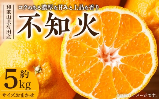 【2027年先行予約】デコ 不知火 約5kg 和歌山県有田産 春みかん (果実サイズおまかせ) 春みかん 紀伊国屋文左衛門本舗_V7412