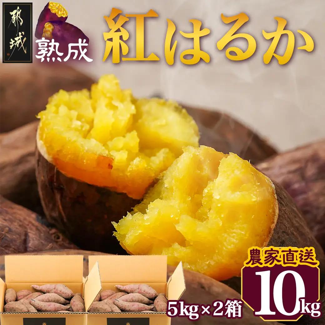 【農家直送】山下農園　熟成紅はるか 10kg〔AA-I705〕_(都城市) 紅はるか 山下農園 さつまいも