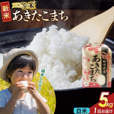 ふるさと納税 大仙市 白米 あきたこまち 一等米 5kg 秋田県 R8年|22_kml-010501s