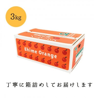 ＼みかんの大トロ/糖度12.0以上酸1.4以下 糖酸選別品 訳あり 愛媛セトカ3kg【C20−14】【1094586】