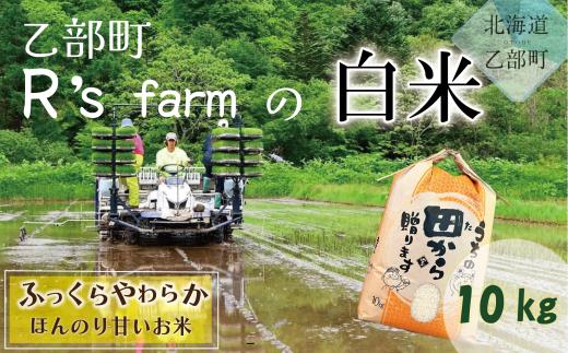 【北海道の米(10kg)】＜ ふっくらつややか！若手農家が作る米 米 国産米 北海道 道産 道産米 ＞