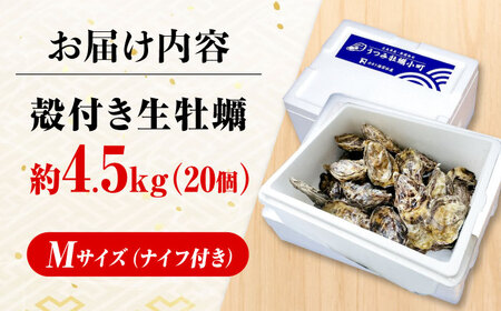 冷蔵牡蠣 うつみ牡蠣小町 約4.5kg  [BAAQ008]