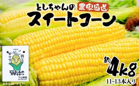 【2026年6月以降発送分予約】約 4kg (11～13本入り)【豊前市】とうもろこし 野菜 BBQ [VBH001]