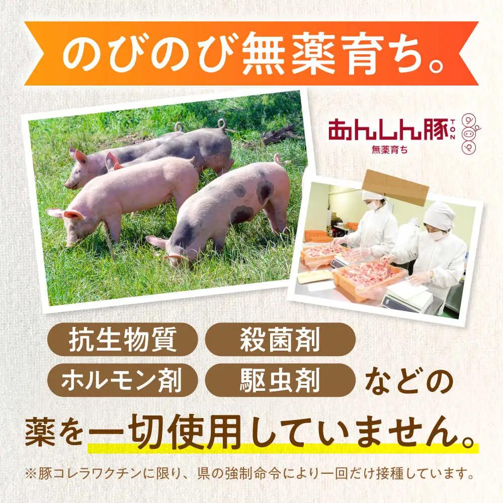 豚丼セット 計6人前 藤井ファーム [AWAF003]豚丼