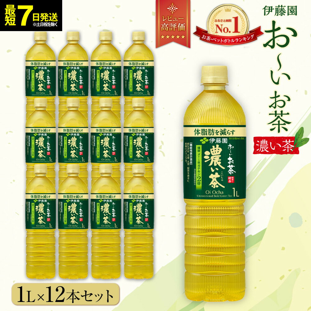 【ふるさと納税】【最短7日以内発送】お～いお茶 濃い茶1L×12本セット［おーいお茶 ペットボトル 1リットル ケース 箱 伊藤園 静岡］ | ぺットボトル飲料 1リットル ケース 箱 伊藤園 静岡 カテキン 送料無料 健康 飲料 ソフトドリンク まとめ買い 常備品