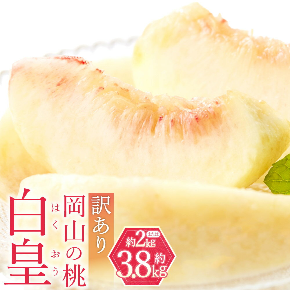 【ふるさと納税】＜選べる内容量＞訳あり 白皇 5～8玉（約2kg） / 9～15玉（約3.8kg） 桃 もも モモ フルーツ くだもの 果物 果実 デザート 冷蔵 岡山県産 国産 岡山県 倉敷市 送料無料 【2026年8月下旬～9月下旬発送予定】