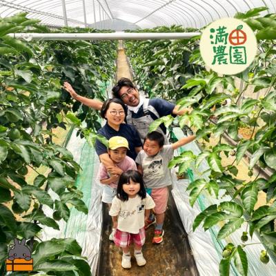 ふるさと納税 徳之島町 【先行予約】満田農園さんのパッションフルーツ(約600g) |  | 02