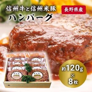 信州牛と信州米豚　ハンバーグ(約120g×8枚)【配送不可地域：離島】【1291109】