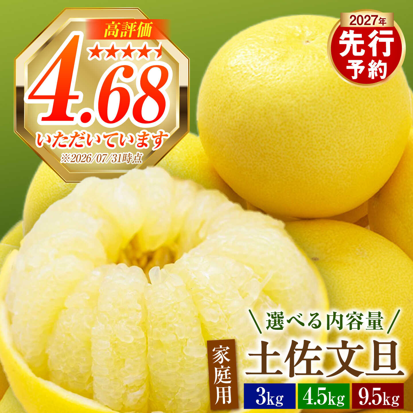 【ふるさと納税】【先行予約】【選べる内容量】土佐文旦 家庭用 サイズ混合2〜4L 3〜9.5kg ＜2027年1月下旬より発送＞土佐文旦 高知 柑橘 フルーツ ぶんたん 果物 甘い 旬 産直 お取り寄せ 季節限定 高知県土佐市/土佐文旦産直協同組合[BQAH010]