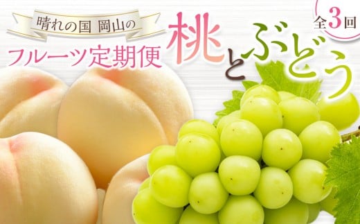 桃 ぶどう 定期便 （隔月） 2026年 晴れの国 岡山の フルーツ 定期便 3回 コース 白桃 もも 葡萄 シャイン マスカット 葡萄 岡山産 国産 フルーツ 果物 ギフト