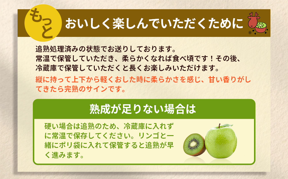 ＜12月以降順次発送＞プレミアム キウイ フルーツ 3L サイズ