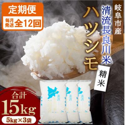 ふるさと納税 岐阜市 【毎月定期便】岐阜市産 ハツシモ 清流長良川米 精米 15kg(5kg×3袋)　全12回