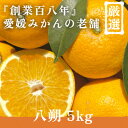 【ふるさと納税】創業百八年 愛媛みかんの老舗【八朔5kg】家庭用【新口農園】【C70-28】【1470659】