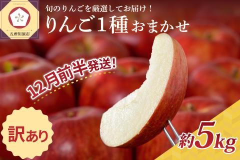 【2024年12月前半発送】【訳あり】 りんご 約10kg サンふじ 葉とらず 青森産