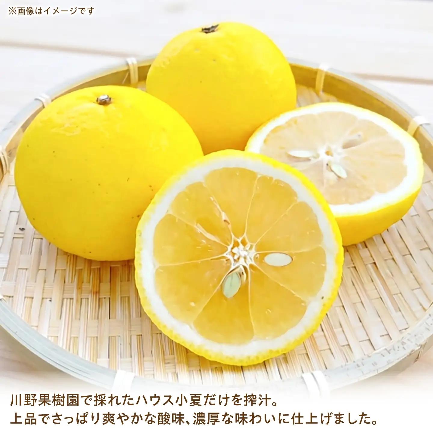 高知県 土佐市産 KONATSU JUICE KJ 100％ 720ml (1本) 高知県 土佐市【川野果樹園】 [BQCB003]