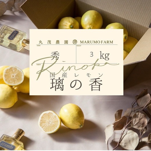 レモン りのか 3kg | 国産 れもん 璃の香 檸檬 ワックス 防腐剤 不使用 フルーツ くだもの 果物 数量限定 愛知県 美浜町 ※北海道・沖縄・離島への配送不可 ※2026年1月中旬～2月中旬頃に順次発送予定