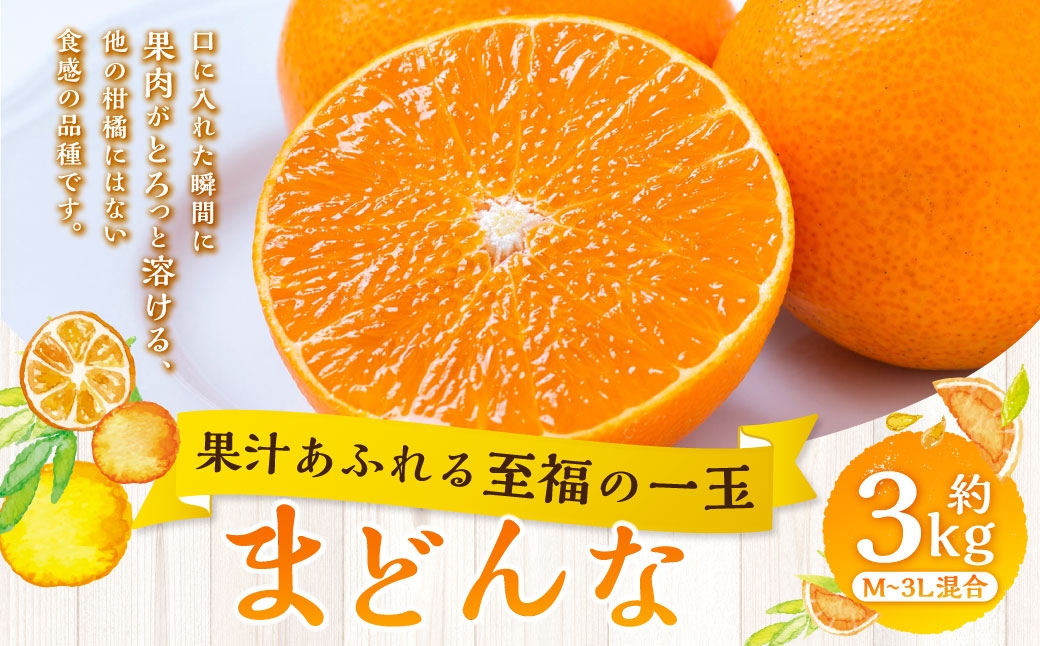 
                  【 果汁あふれる至福の一玉 】 まどんな （ 紅まどんなと同品種 ） 約3kg みかん ミカン 柑橘 柑橘系 柑橘類 くだもの 果物 フルーツ 果実 果汁 果肉 国産 愛媛県産 薄皮 【 2026年11月下旬-2027年1月下旬発送予定 】 ( 1111 )
                