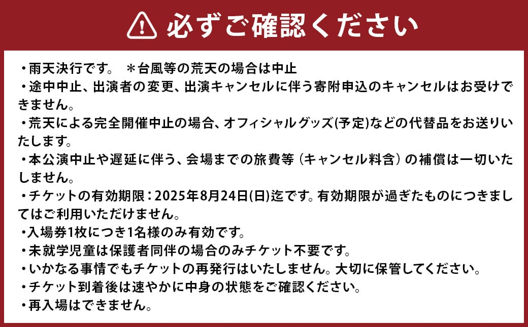 【2025年8月24日（日）開催】Sky Jamboree 2025 入場チケット（一般）×1枚