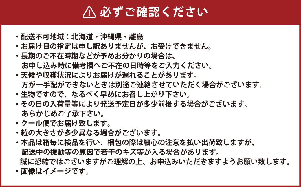 岡山県産 シャインマスカット 晴王 約5kg（5房～10房） 【2024年8月下旬～11月下旬迄発送予定】 果物 くだもの フルーツ ぶどう ブドウ 葡萄 マスカット