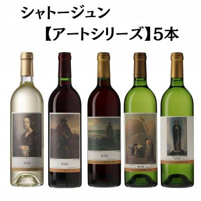 ふるさと納税 甲州市 シャトージュン　【アートシリーズ】5本　E-480