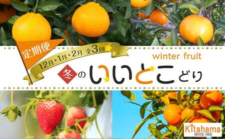 冬のいいとこどり定期便 【12月・1月・2月】全3回 |フルーツ 旬 美味しい 新鮮 フルーツ 詰合せ セット フルーツ 人気 フルーツ 厳選 おすすめ フルーツ
