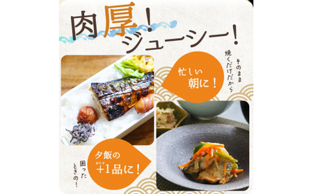 定期便【全3回/毎月お届け】大容量！ ご家庭用 塩さばフィレをたっぷりお届け定期便 / さば サバ 鯖 フィレ 切り身 切身 魚 海鮮 焼き魚 おかず 定期便【tkb354】