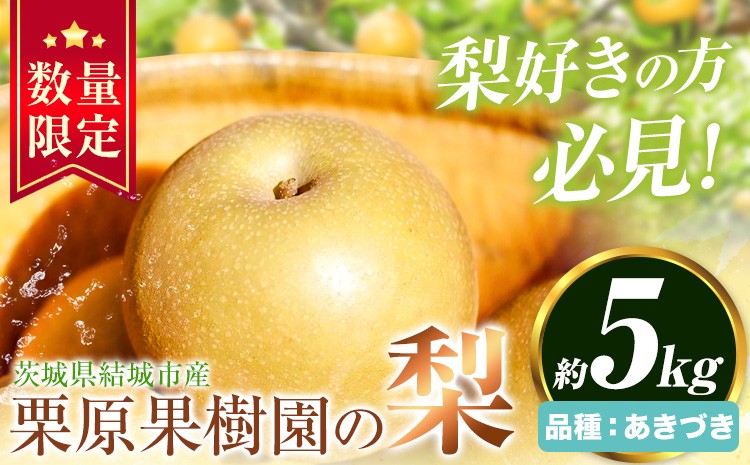 
                  【先行予約】栗原果樹園 梨 5kg  あきづき 《9月上旬-9月下旬頃出荷予定》茨城県 結城市 なし 梨 フルーツ 旬 果物 【配送不可地域あり】(離島)
                