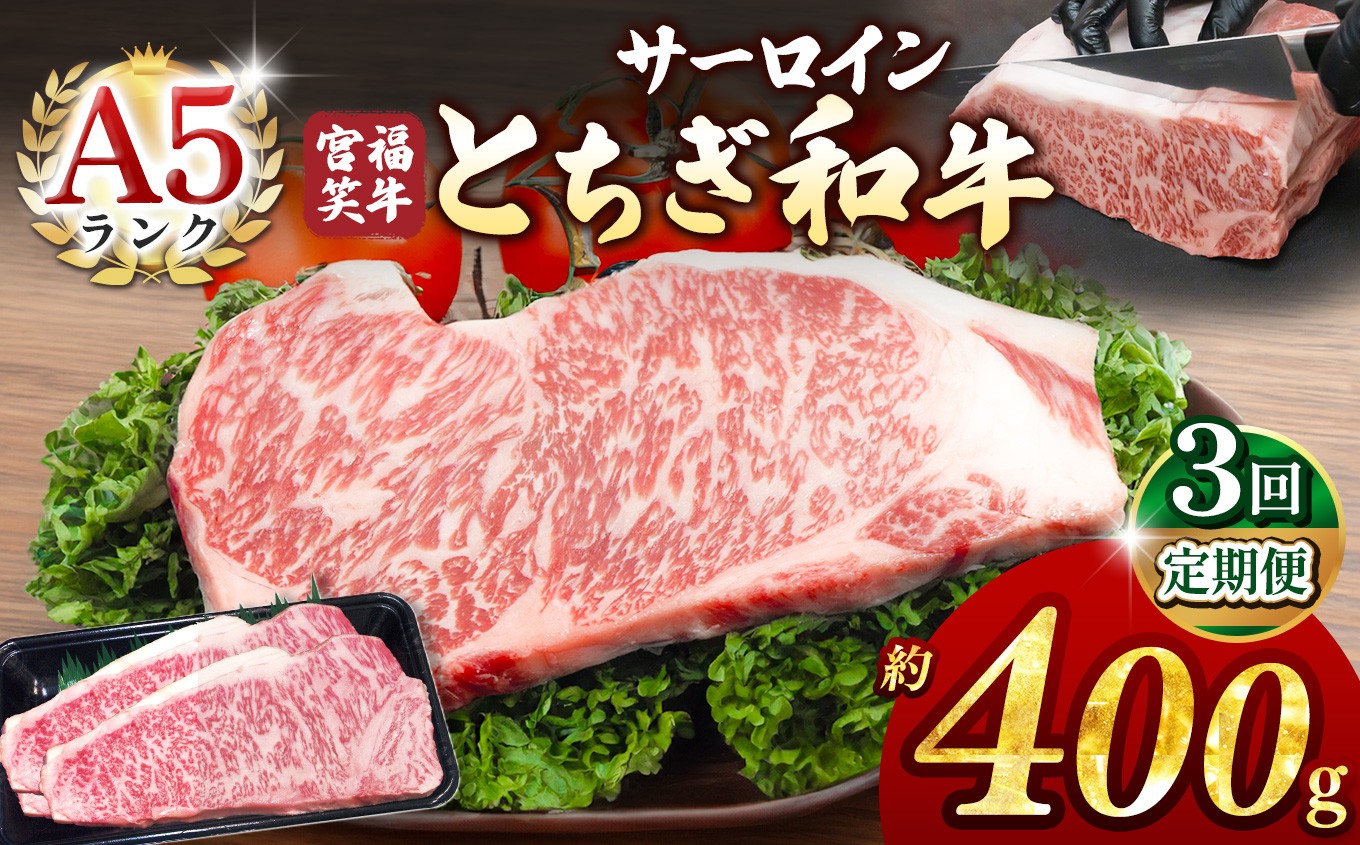 
            【定期便3回】宮福笑牛(とちぎ和牛) A5 サーロインステーキ 約200gx2枚  | 牛肉 和牛 ステーキ  定期便 サーロイン ステーキ ステーキ用 旨味 美味しい 肉 お肉  栃木県共通返礼品 栃木県 真岡市 
          