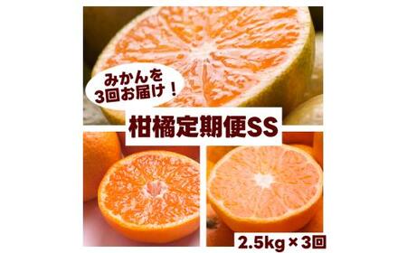 柑橘 定期便 SS【全3回】家庭用【 和歌山県 有田 】 ※北海道・沖縄・離島への配送不可 / 定期便 フルーツ ゆら早生みかん 有田みかん 3回