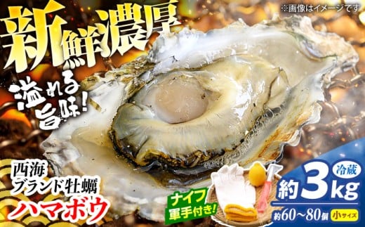 カキ【2026年2月よりお届け】【着日指定可】 西海ブランド 牡蠣 「 ハマボウ 」 約3kg（60～80個）（小サイズ）＜ハマフジ水産＞ [CES010] 牡蠣 カキ 殻つき かき 冷蔵 西海 長崎 贈答 ギフト 日時指定可 牡蠣 カキ ナイフ付き