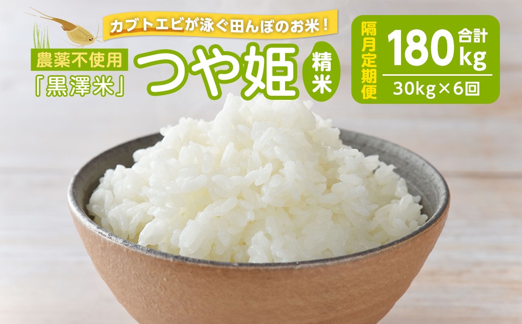 
                  【隔月6回定期便】農薬不使用 つや姫 精米 合計180kg(30kg×6回)＜カブトエビ田んぼで育てたお米＞ 黒澤米 宮城県登米市産 お米 おこめ 米 コメ 白米 ご飯 ごはん おにぎり お弁当 頒布会 【株式会社天体】tm452
                