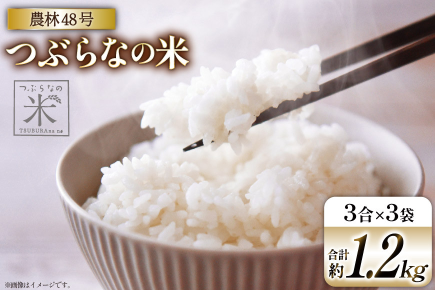 
            米 令和6年 つぶらなの米 農林48号 3合×3袋セット 計約 1.2kg [つぶらな 山梨県 韮崎市 20741896] 白米 精米 お米 こめ コメ おこめ ご飯 ごはん 1.2キロ 令和6年産 お試し 少量 小分け 山梨県産 
          