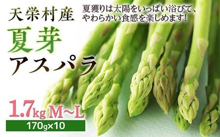 【先行予約】 ≪天栄村産≫ 夏芽アスパラM～Lサイズ 1.7kg F21T-440