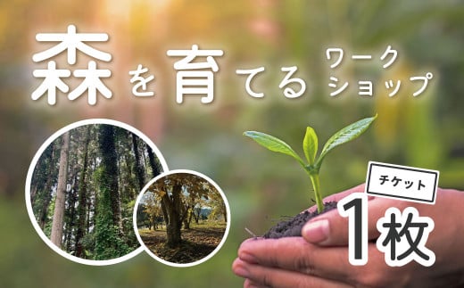 秦野里山　森を育てる　植林ワークショップ　038-01