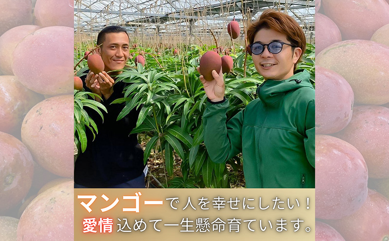 【2025年 先行予約 数量限定】マンゴー好きに食べてもらいたい！金蜜マンゴー 秀品 2kg以上 秀品 先行予約 沖縄 甘味 糖度 濃厚 おいしい お土産 まんごー きんみつ ギフト プレゼント 果実