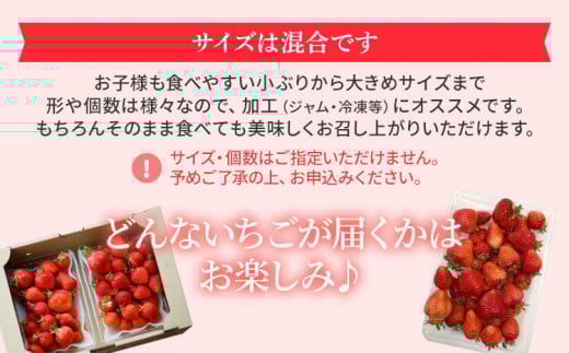 ジャム用あまおう1kg ※2025年2月中旬～5月10日頃にかけて順次出荷予定 BD08
